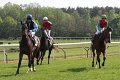 96-Renntag   073